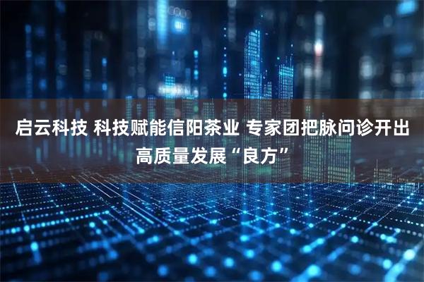 启云科技 科技赋能信阳茶业 专家团把脉问诊开出高质量发展“良方”
